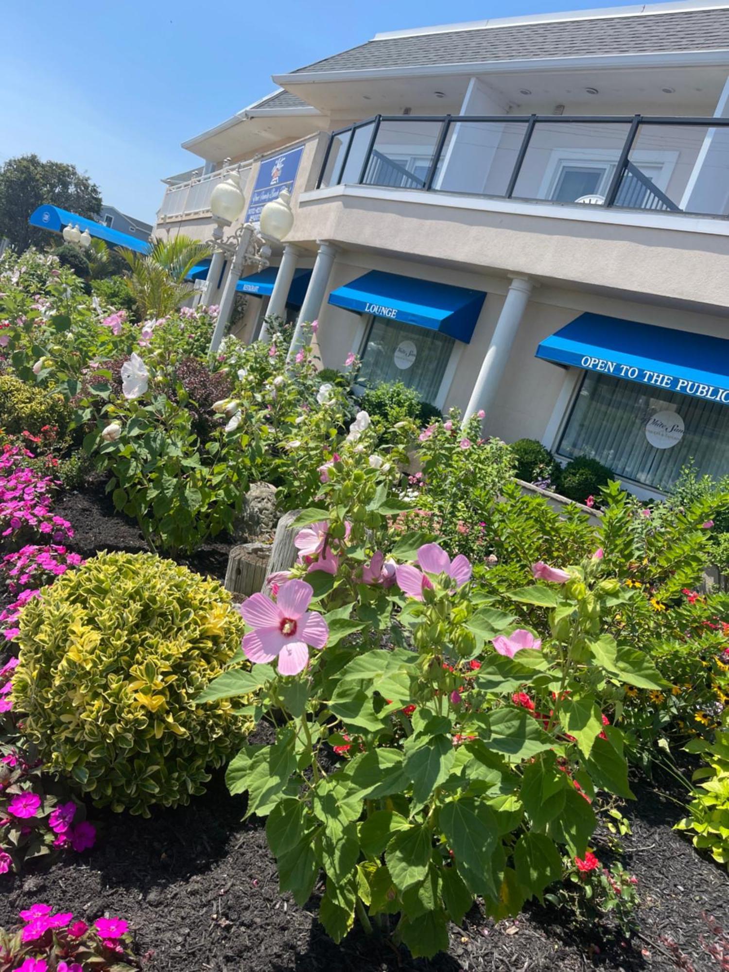 The White Sands Resort And Spa Пойнт Плезънт Бийч Екстериор снимка